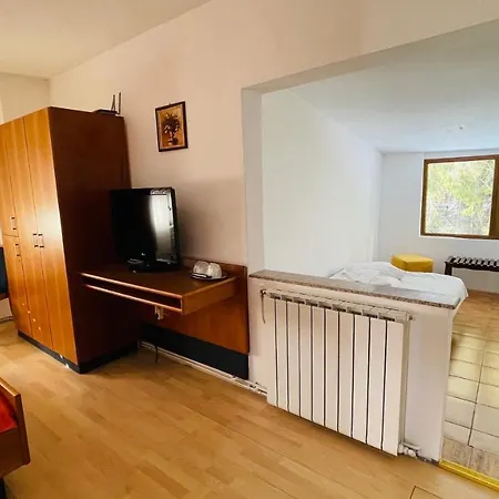 Pensiunea Luminita Πανσιόν Buşteni