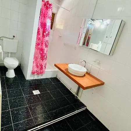 Pensiunea Luminita Πανσιόν 3*