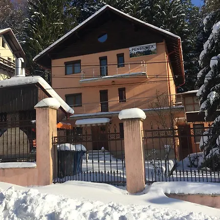 Pensjonat Pensiunea Luminita